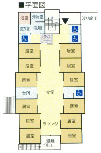 平面図